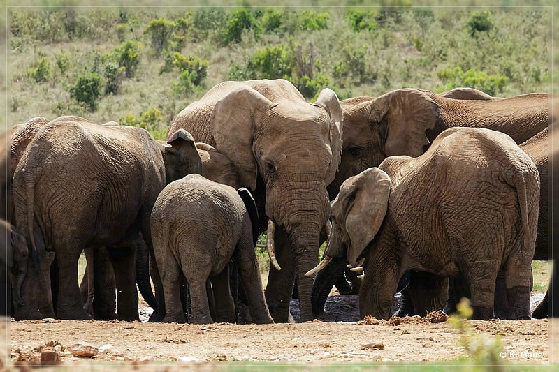 suedafrika_2019_0391.jpg