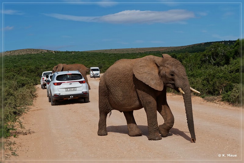 suedafrika_2019_0397.jpg