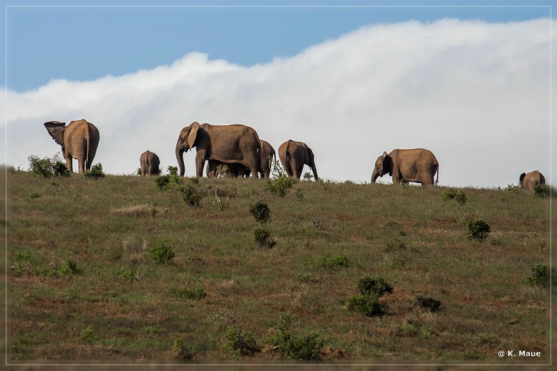 suedafrika_2019_0400.jpg