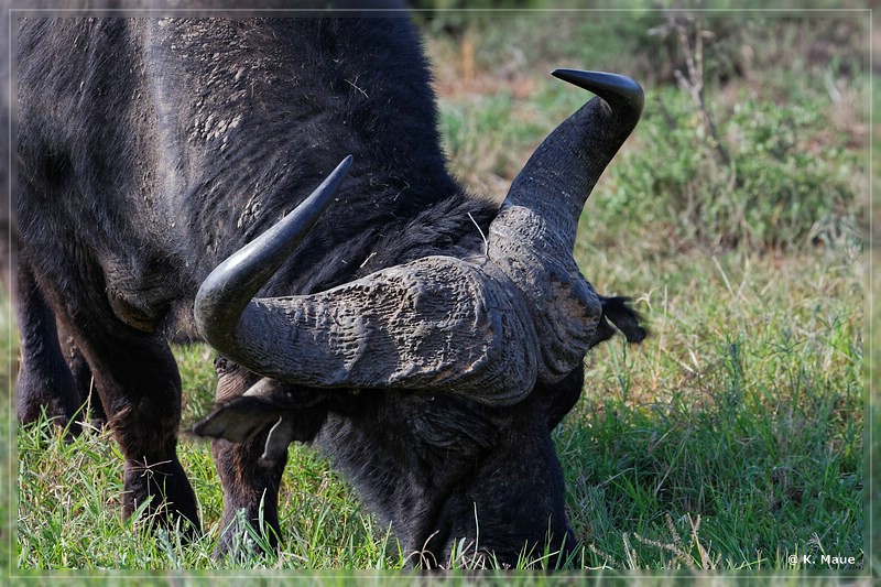 suedafrika_2019_0401.jpg