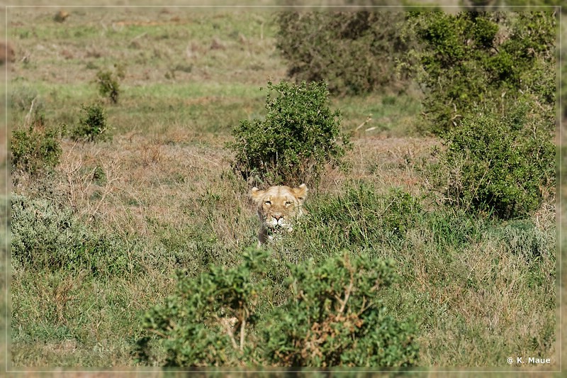 suedafrika_2019_0404.jpg