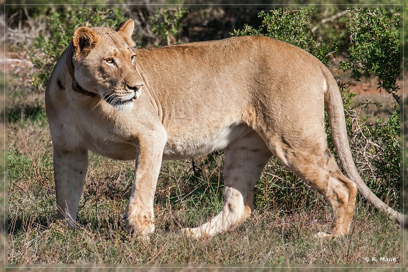 suedafrika_2019_0408.jpg