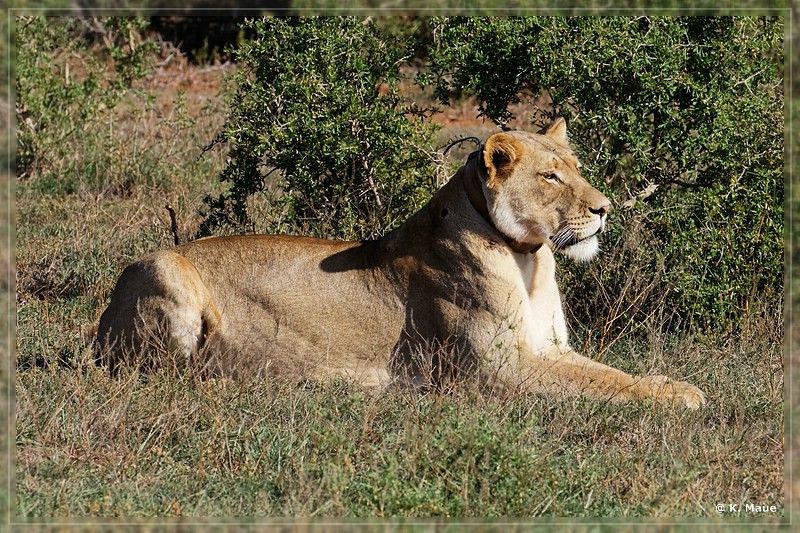 suedafrika_2019_0409.jpg