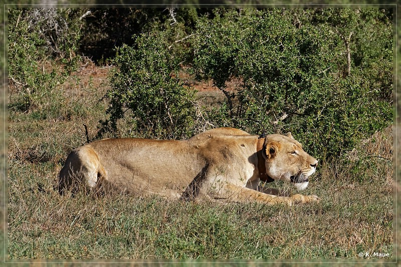 suedafrika_2019_0410.jpg