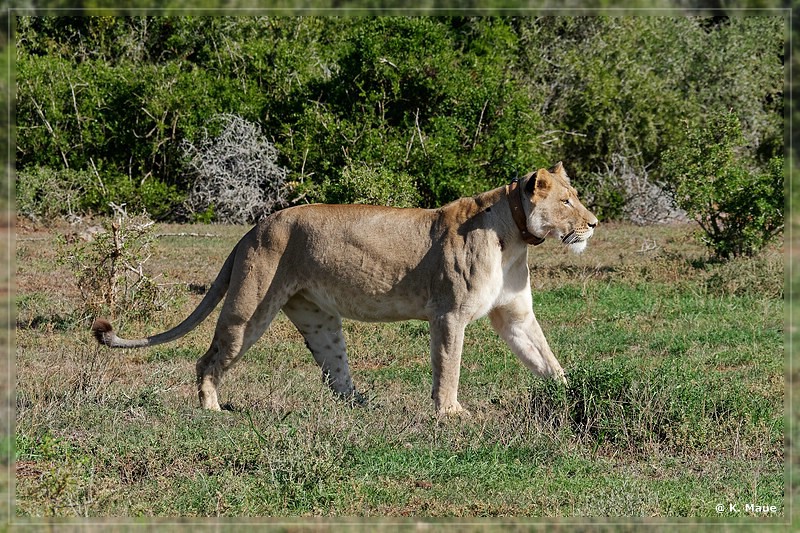 suedafrika_2019_0412.jpg