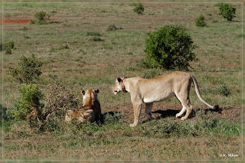 suedafrika_2019_0414.jpg