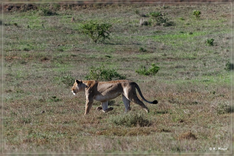 suedafrika_2019_0415.jpg