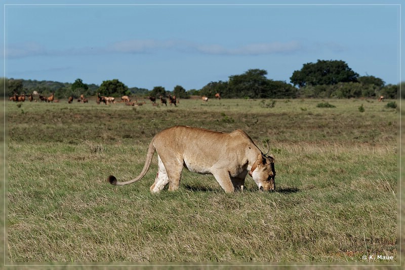 suedafrika_2019_0417.jpg