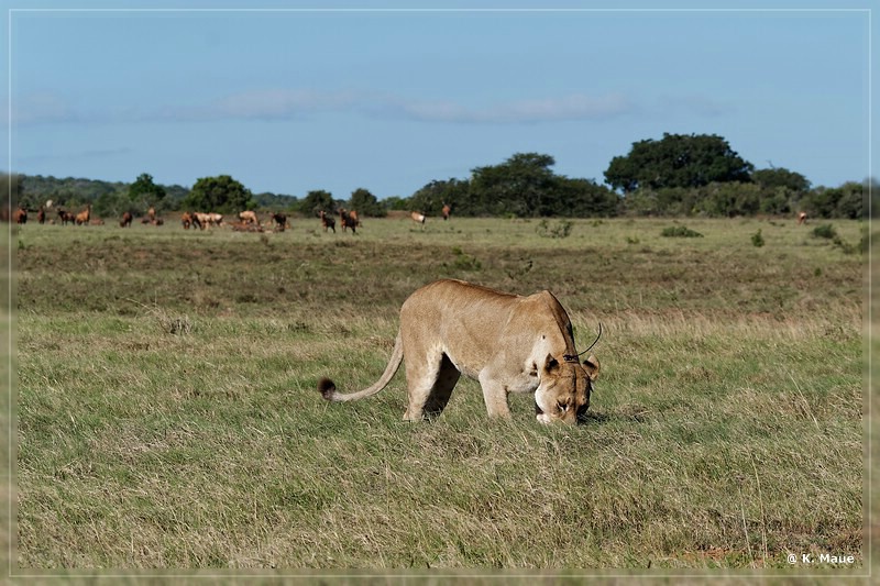 suedafrika_2019_0418.jpg