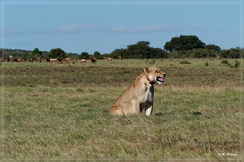 suedafrika_2019_0419.jpg