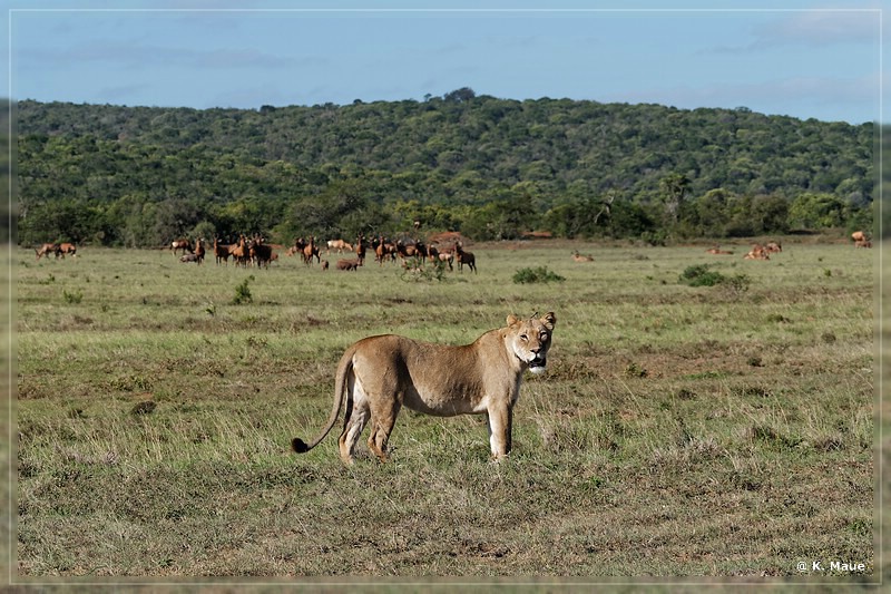 suedafrika_2019_0421.jpg