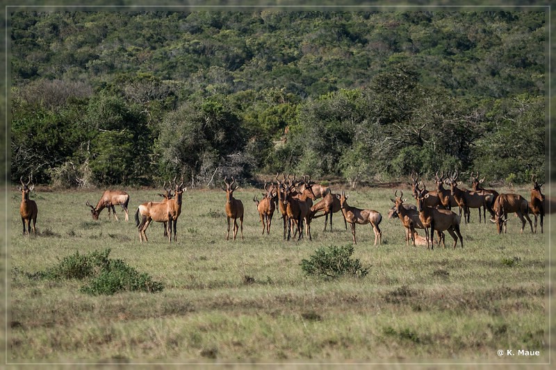 suedafrika_2019_0422.jpg