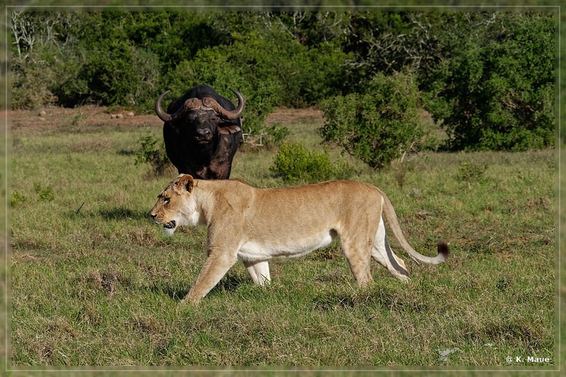 suedafrika_2019_0425.jpg