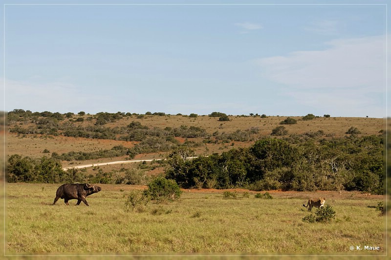 suedafrika_2019_0426.jpg