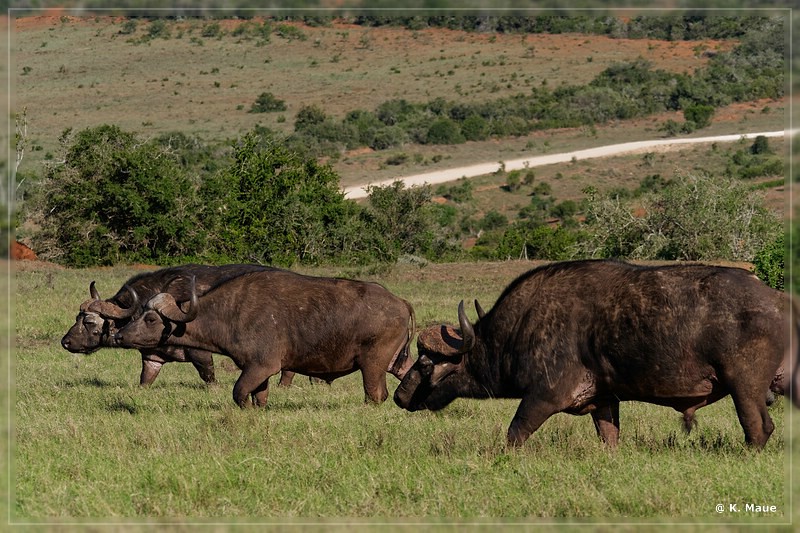 suedafrika_2019_0428.jpg