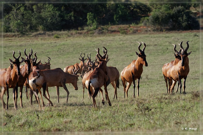 suedafrika_2019_0429.jpg