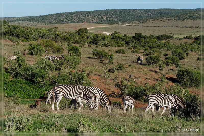 suedafrika_2019_0441.jpg