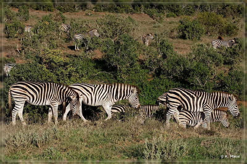 suedafrika_2019_0443.jpg