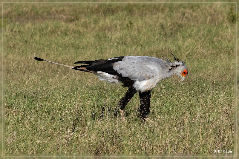 suedafrika_2019_0444.jpg