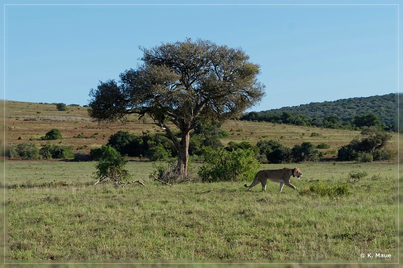 suedafrika_2019_0446.jpg