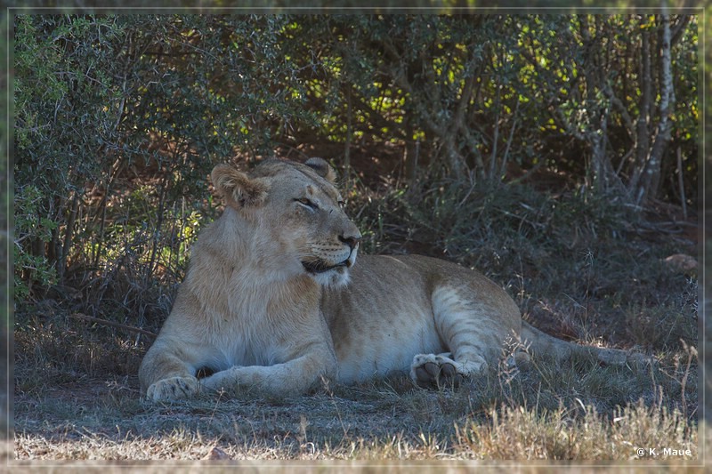 suedafrika_2019_0448.jpg