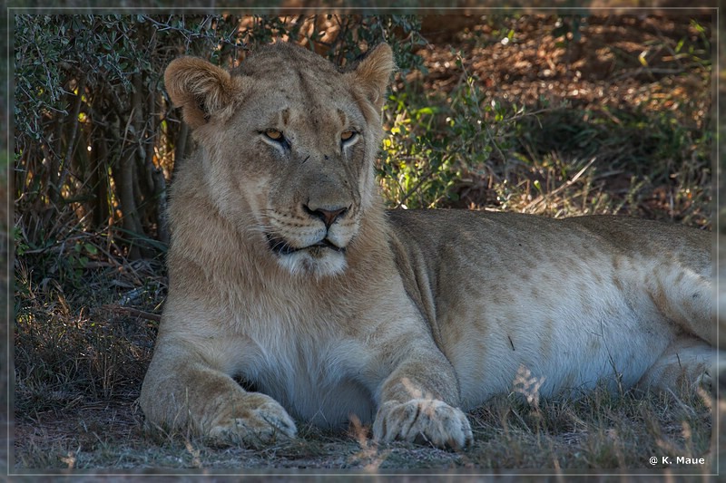 suedafrika_2019_0449.jpg