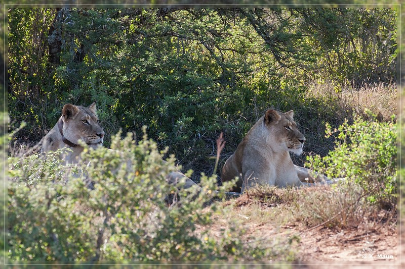 suedafrika_2019_0453.jpg