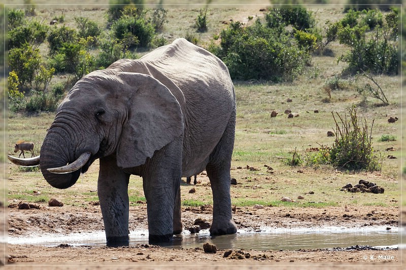 suedafrika_2019_0460.jpg