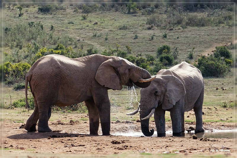 suedafrika_2019_0461.jpg