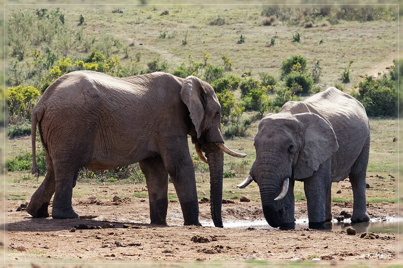 suedafrika_2019_0462.jpg