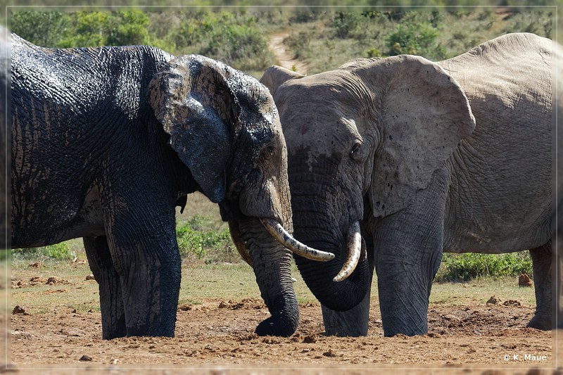 suedafrika_2019_0464.jpg