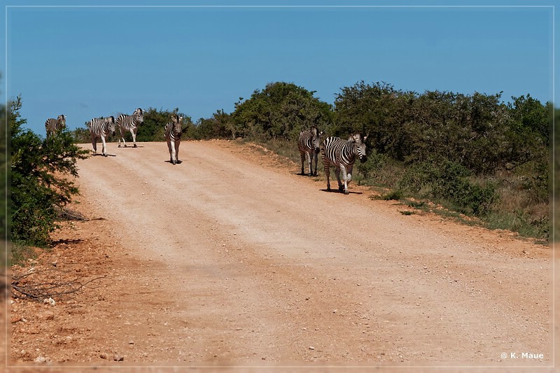 suedafrika_2019_0466.jpg