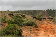 suedafrika_2019_0314