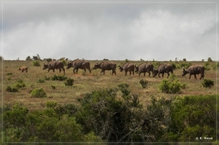 suedafrika_2019_0315