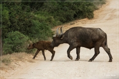 suedafrika_2019_0317