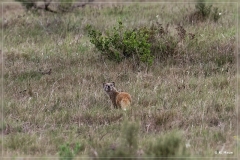 suedafrika_2019_0322