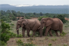 suedafrika_2019_0325