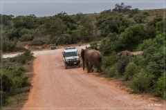 suedafrika_2019_0330