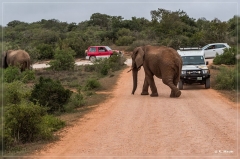 suedafrika_2019_0331