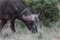 suedafrika_2019_0333