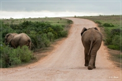 suedafrika_2019_0335