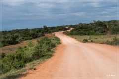 suedafrika_2019_0342