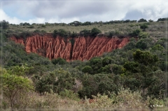 suedafrika_2019_0350