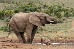 suedafrika_2019_0362