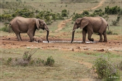 suedafrika_2019_0363