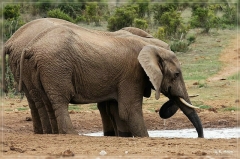 suedafrika_2019_0364