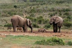 suedafrika_2019_0365