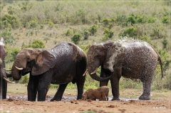 suedafrika_2019_0373