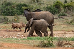 suedafrika_2019_0378