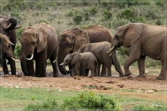 suedafrika_2019_0379